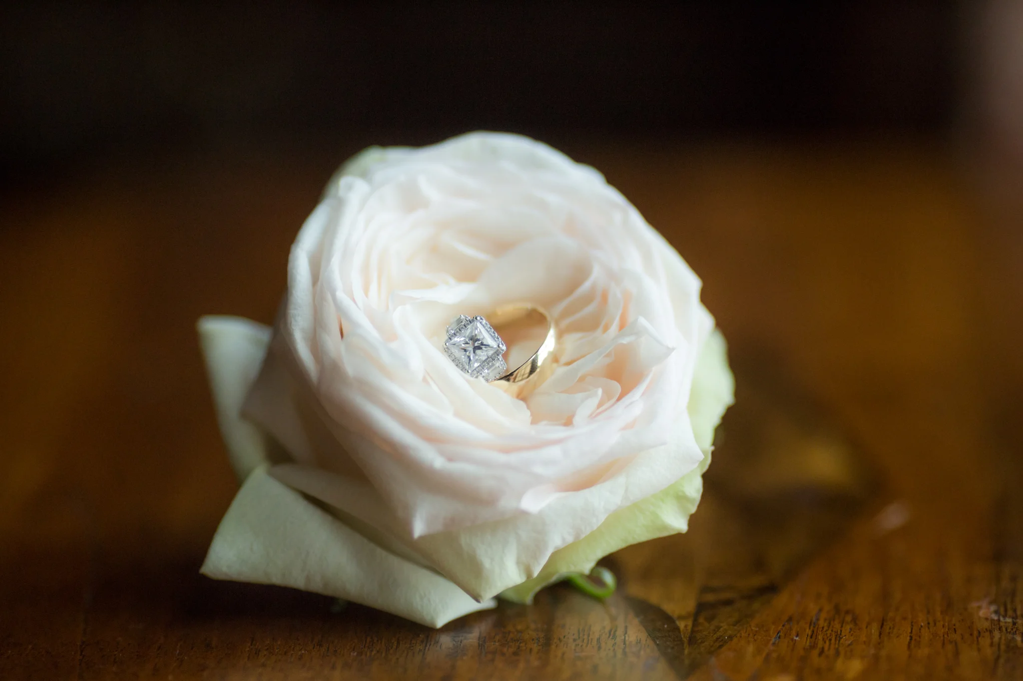 MKL_Wedding_iWally_2015-1.jpg