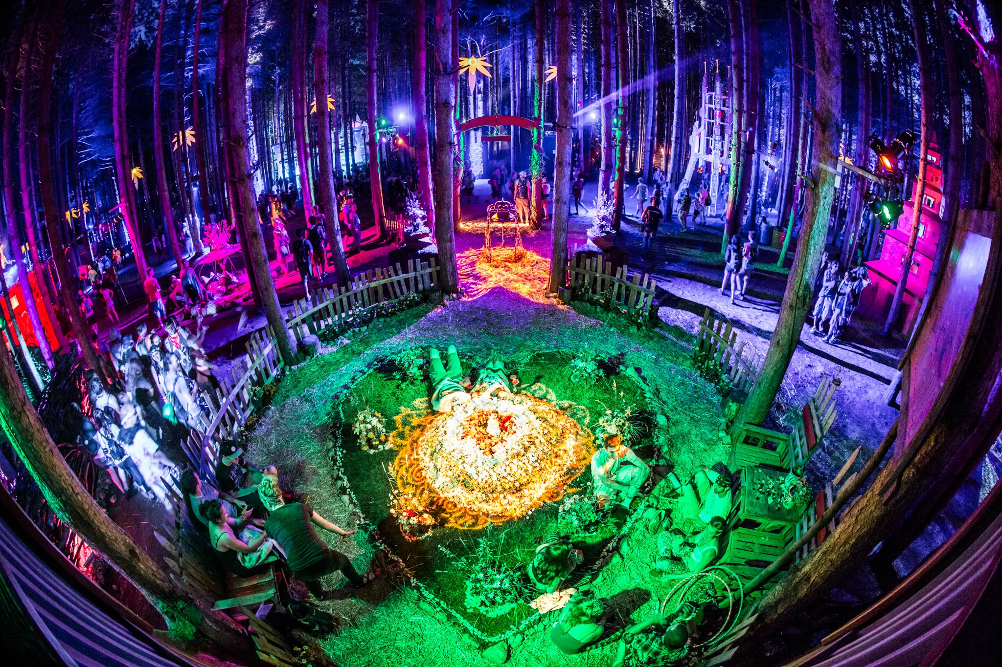 EFF2015_iWally_aLIVECoverage-5.jpg