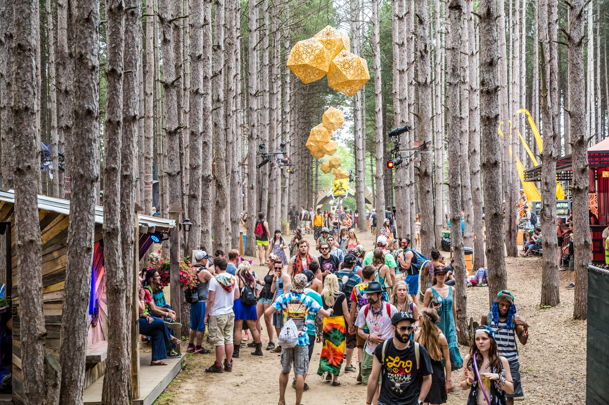 EFF2015_iWally_aLIVECoverage-8.jpg