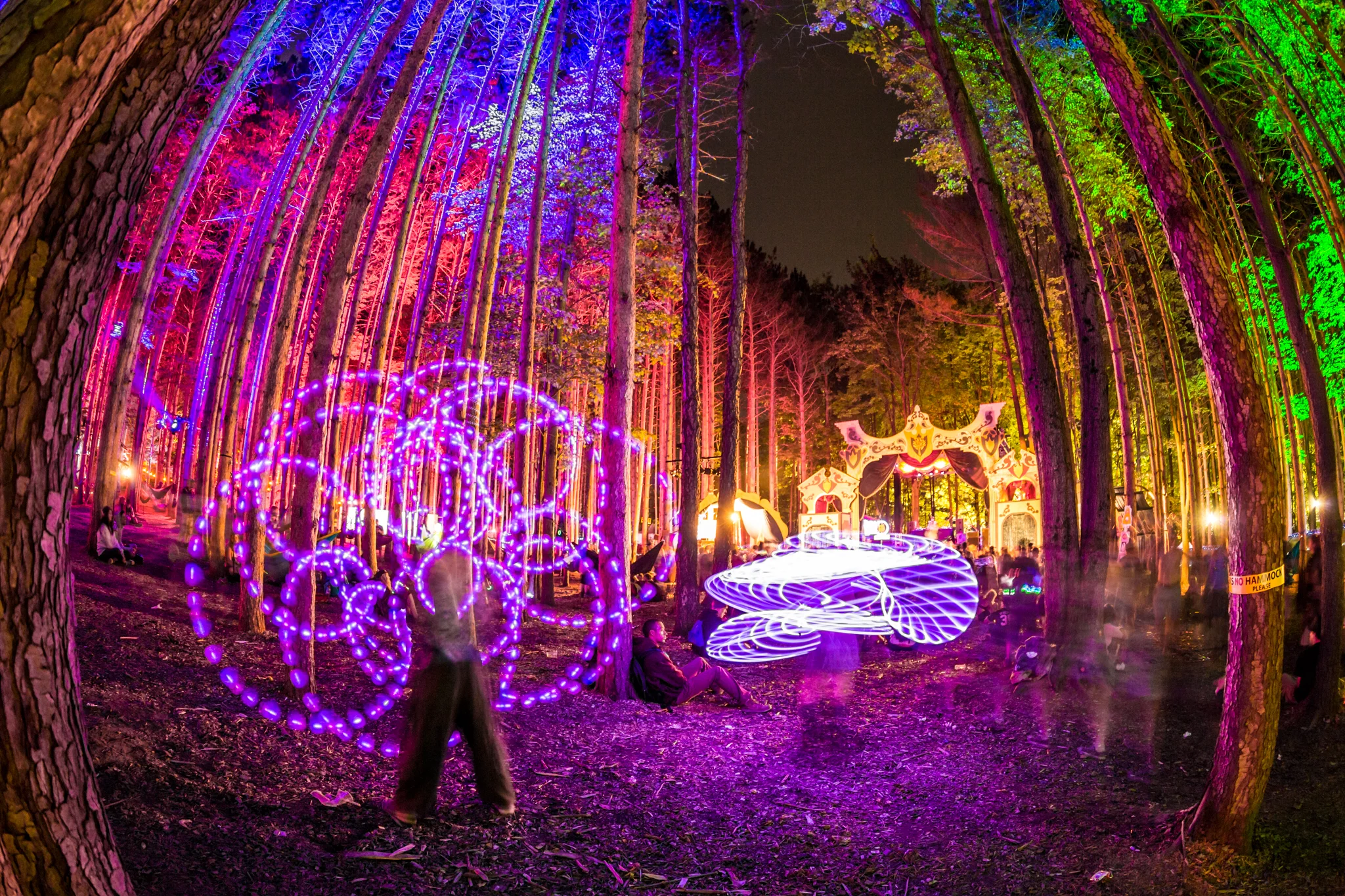 EFF2015_iWally_aLIVECoverage-11.jpg