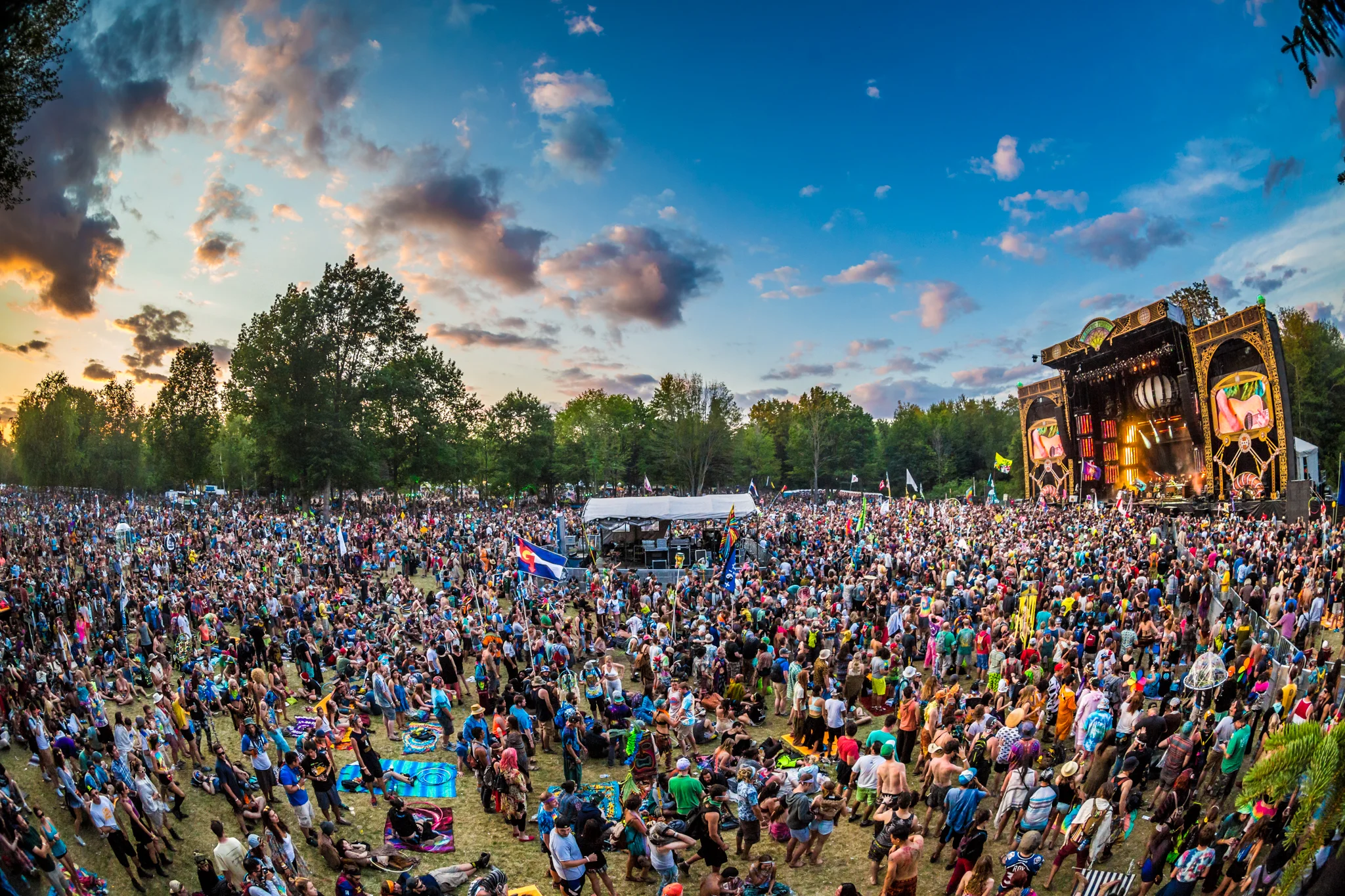 EFF2015_iWally_aLIVECoverage-19.jpg