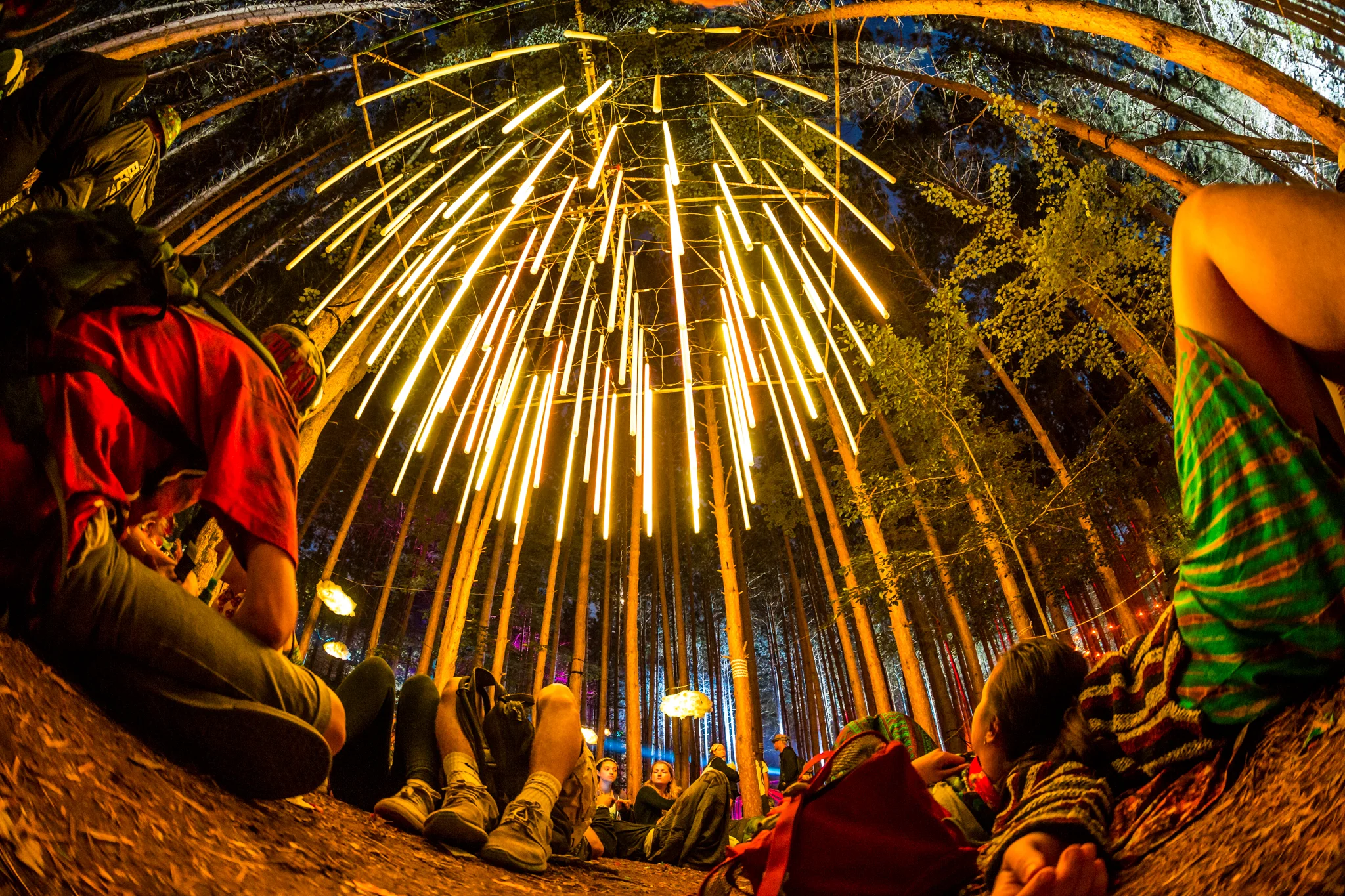 EFF2015_iWally_aLIVECoverage-34.jpg