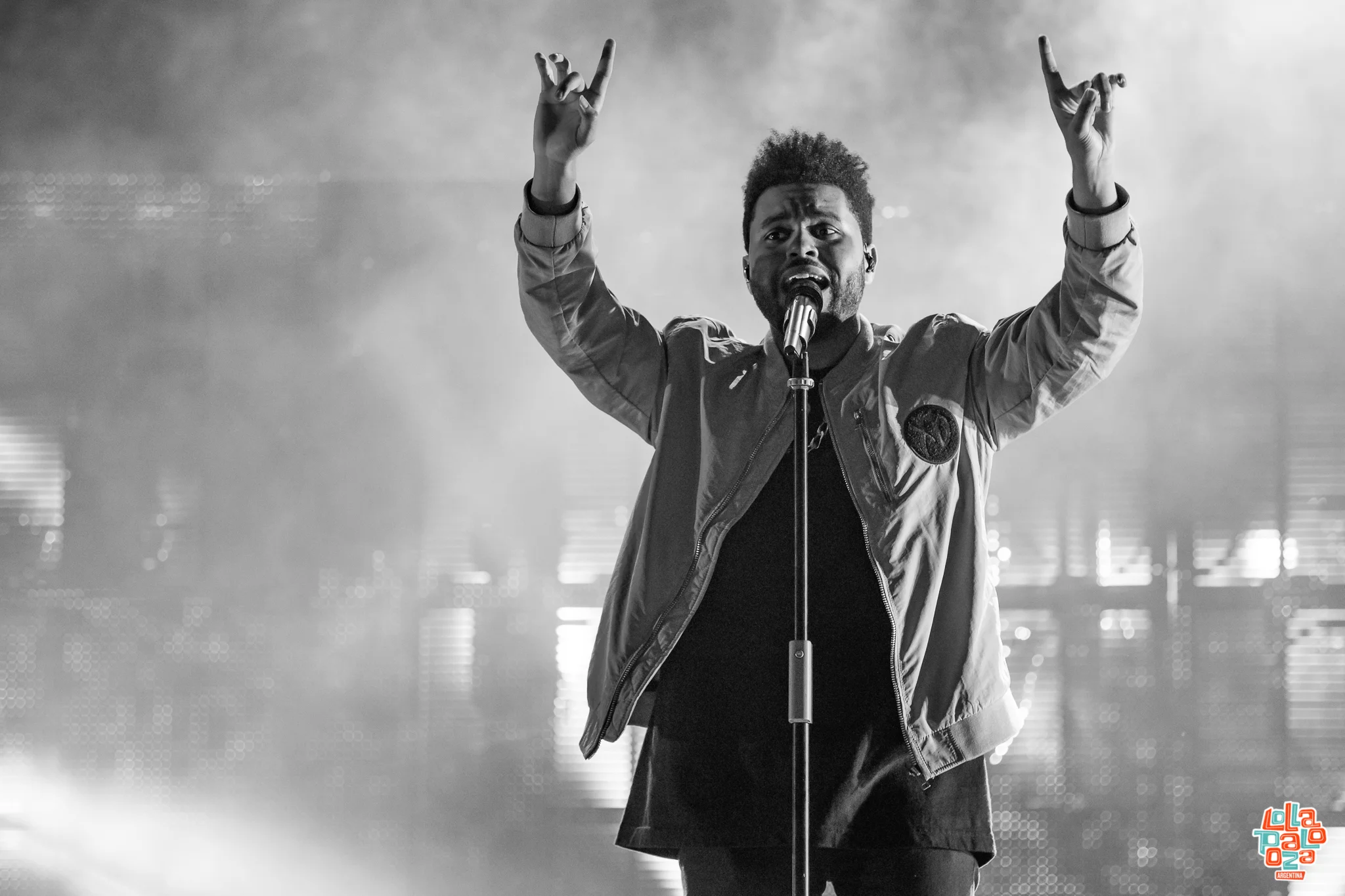 LOLLA_AR2017_0401_204236_8487_ALIVECOVERAGE.jpg