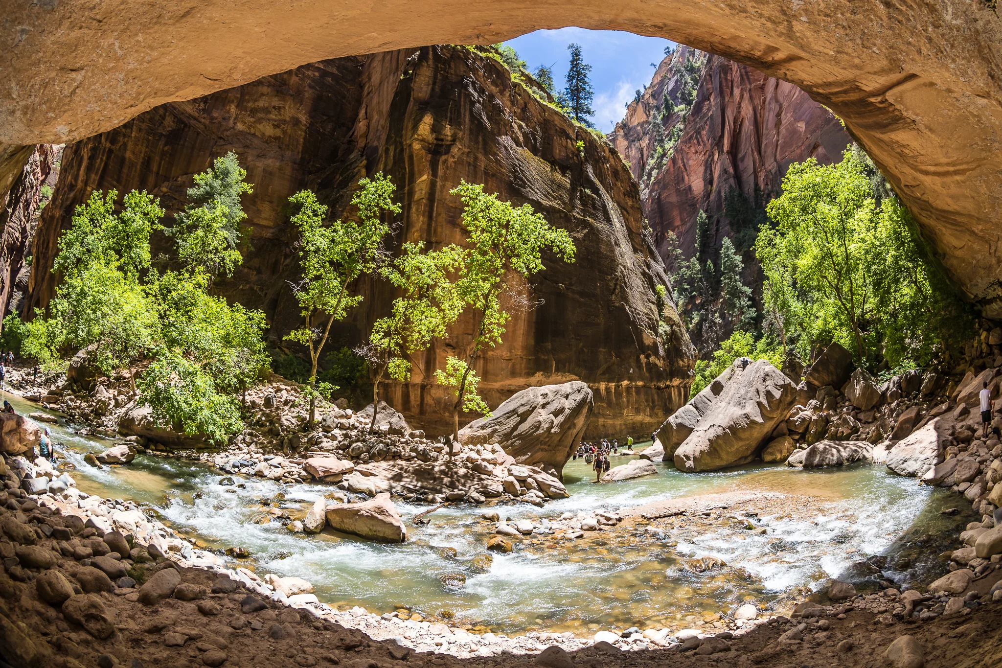 Zion_2016_iWally-9.jpg