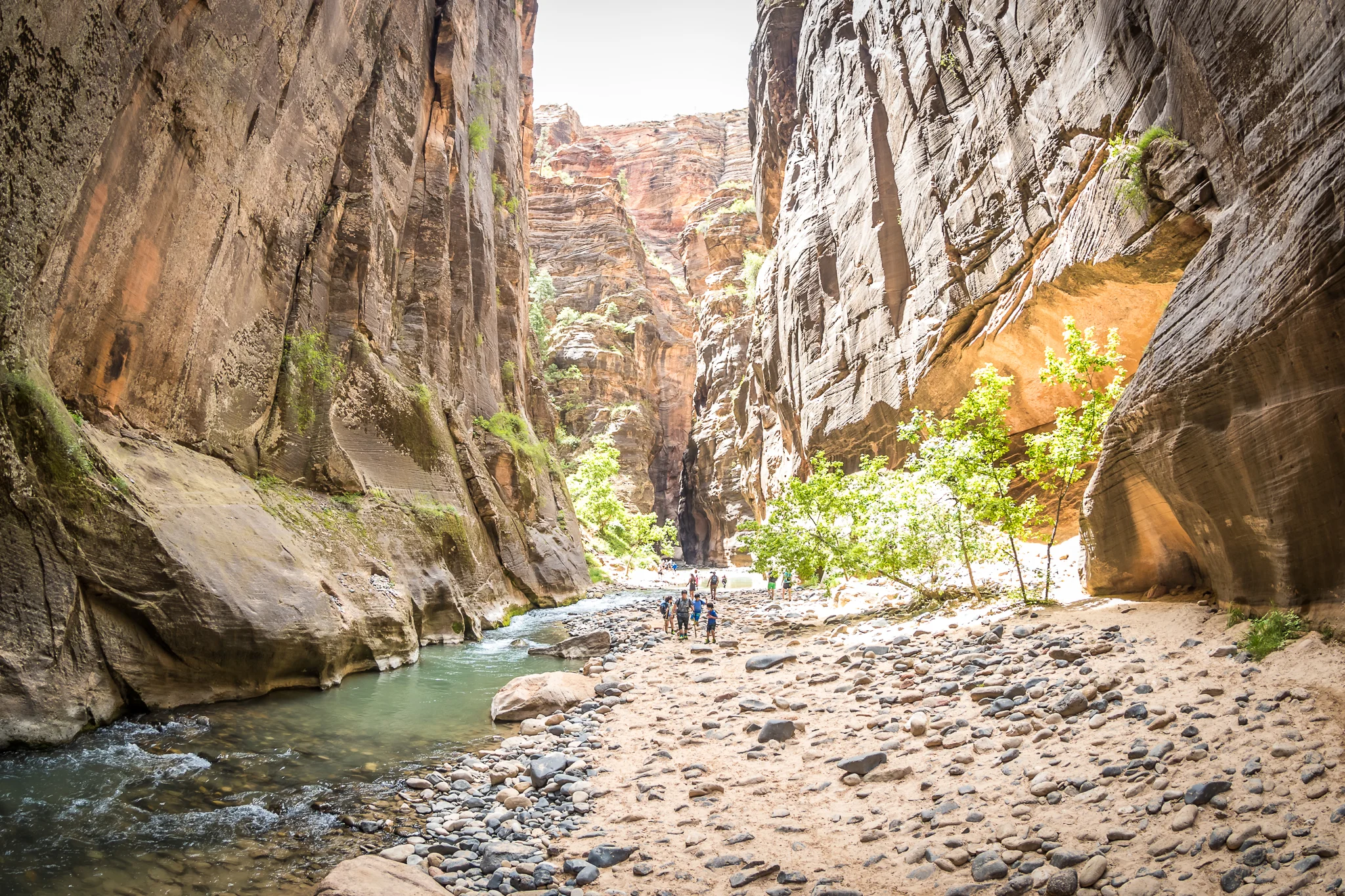 Zion_2016_iWally-11.jpg