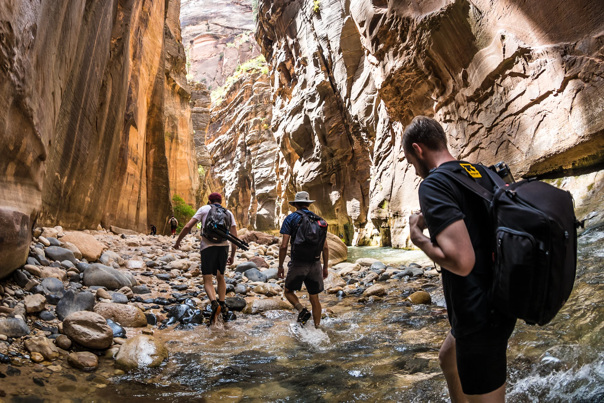 Zion_2016_iWally-13.jpg