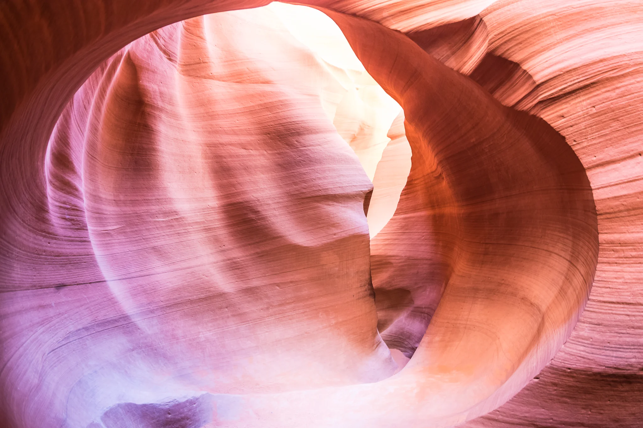 Zion_2016_iWally-16.jpg