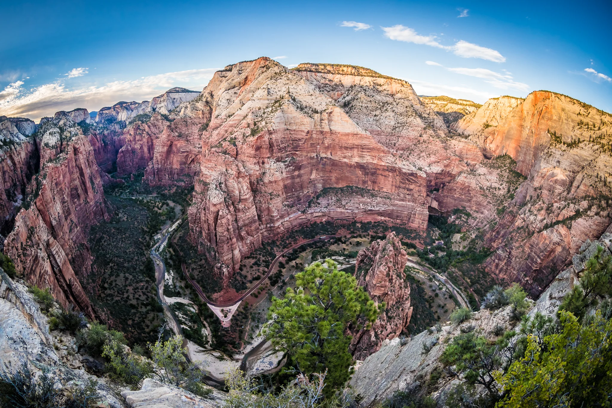 Zion_2016_iWally-15.jpg