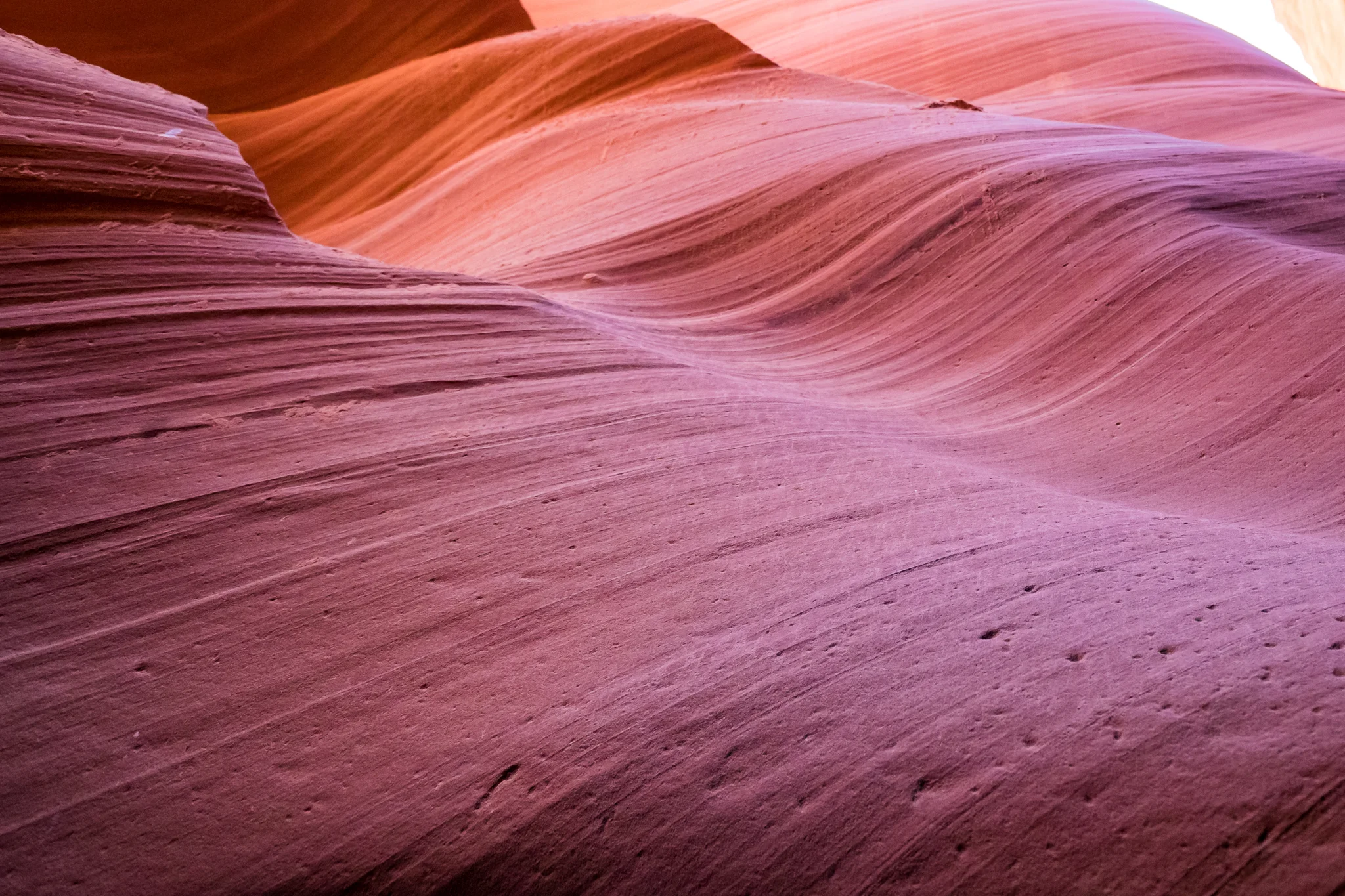 Zion_2016_iWally-18.jpg