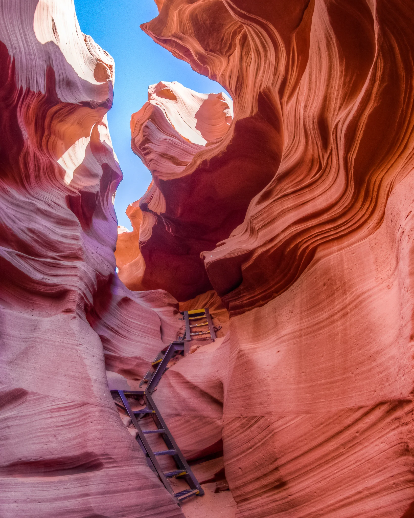 Zion_2016_iWally-20.jpg