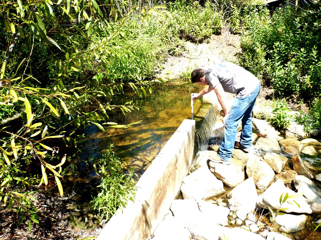 Low Flow - 1.jpg