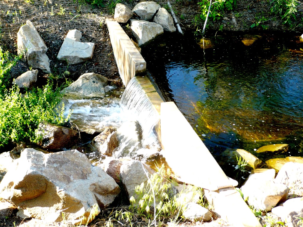 Low Flow - 3.jpg