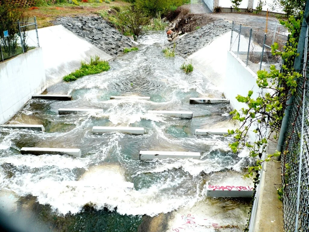 Flow4.jpg