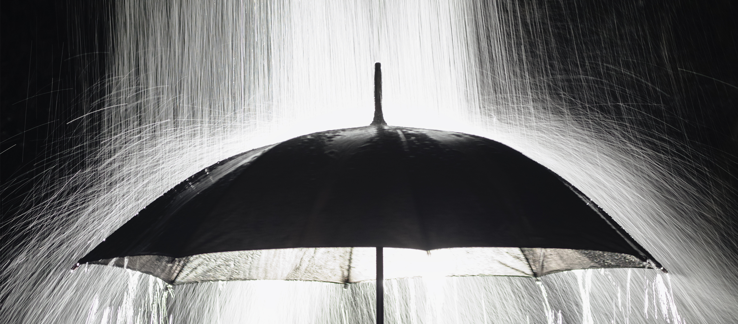 Rainmaker_Umbrella.png