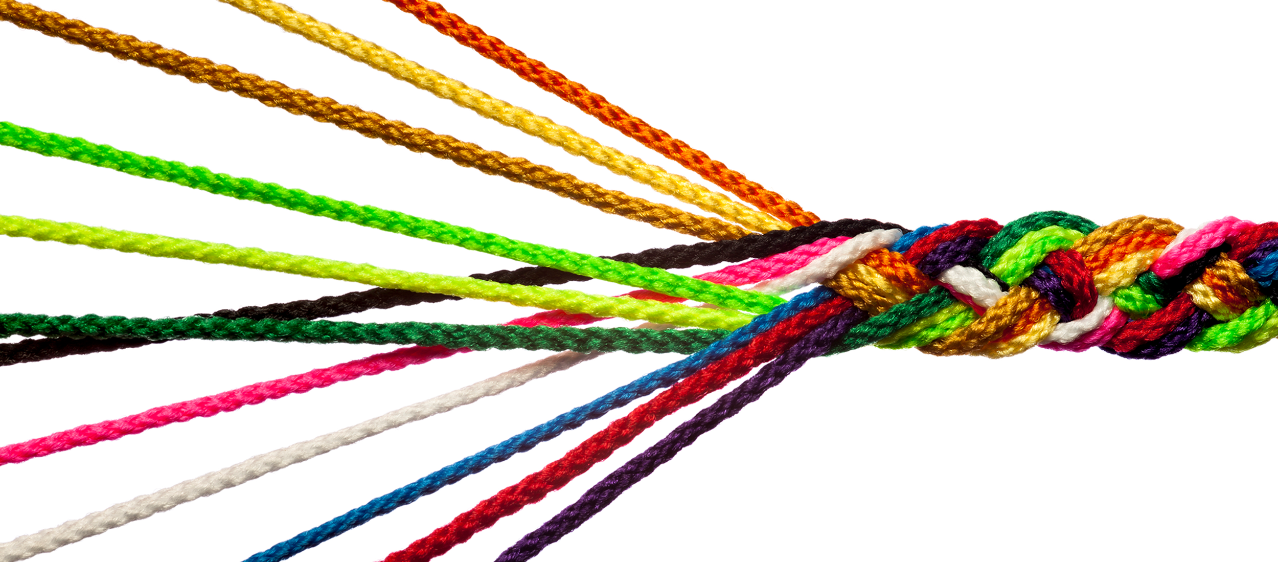More Clients Than Ever_Rope_Mad Clientist Header.png