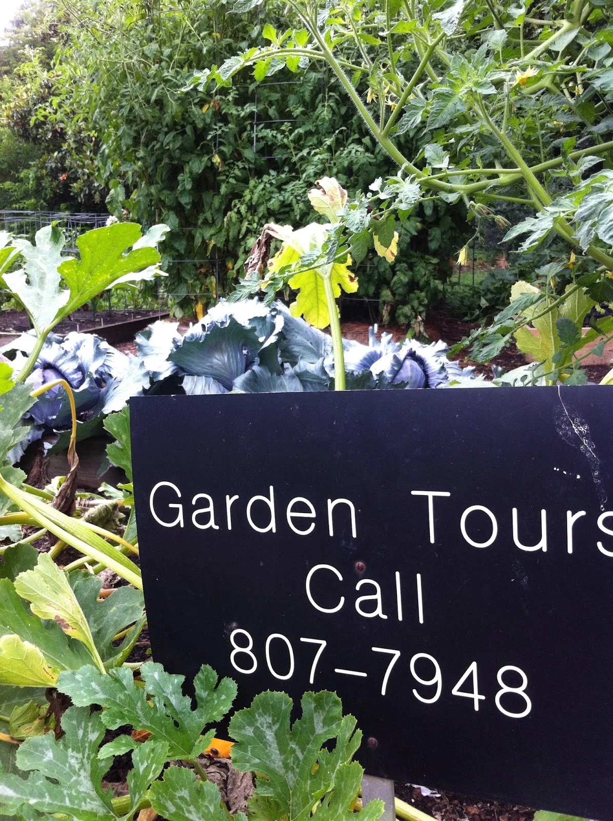 garden tours.jpg