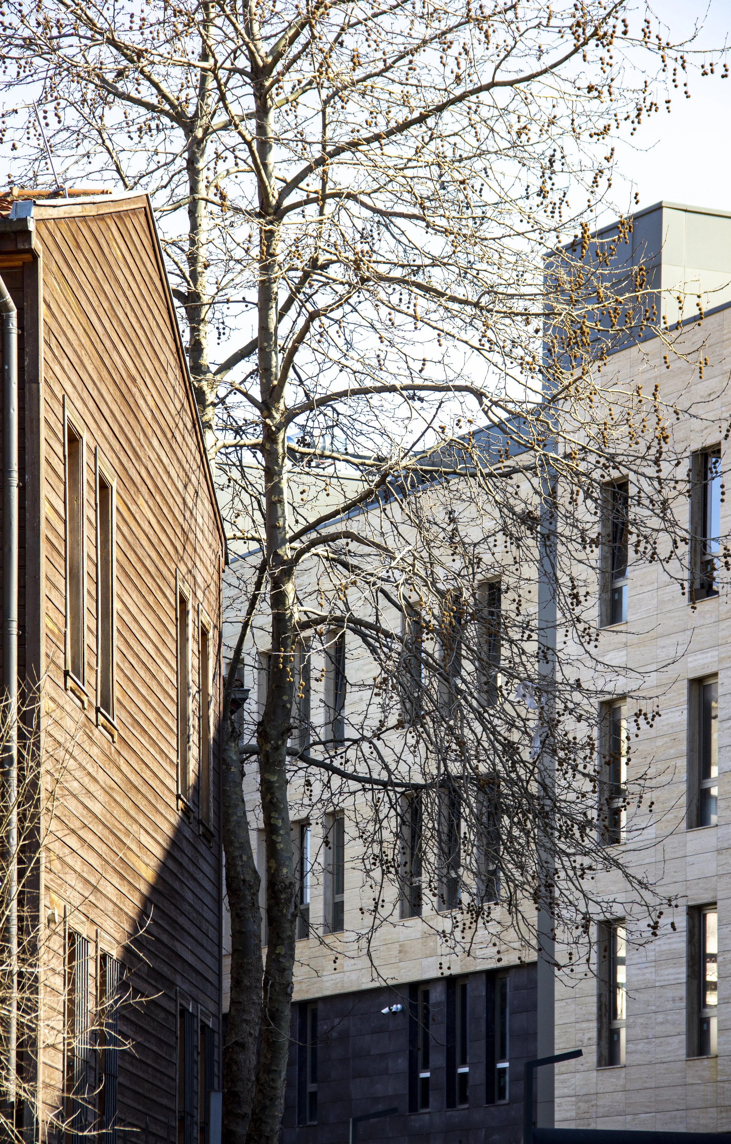 İstanbul Üniversitesi Eğitim ve Araştırma Binası