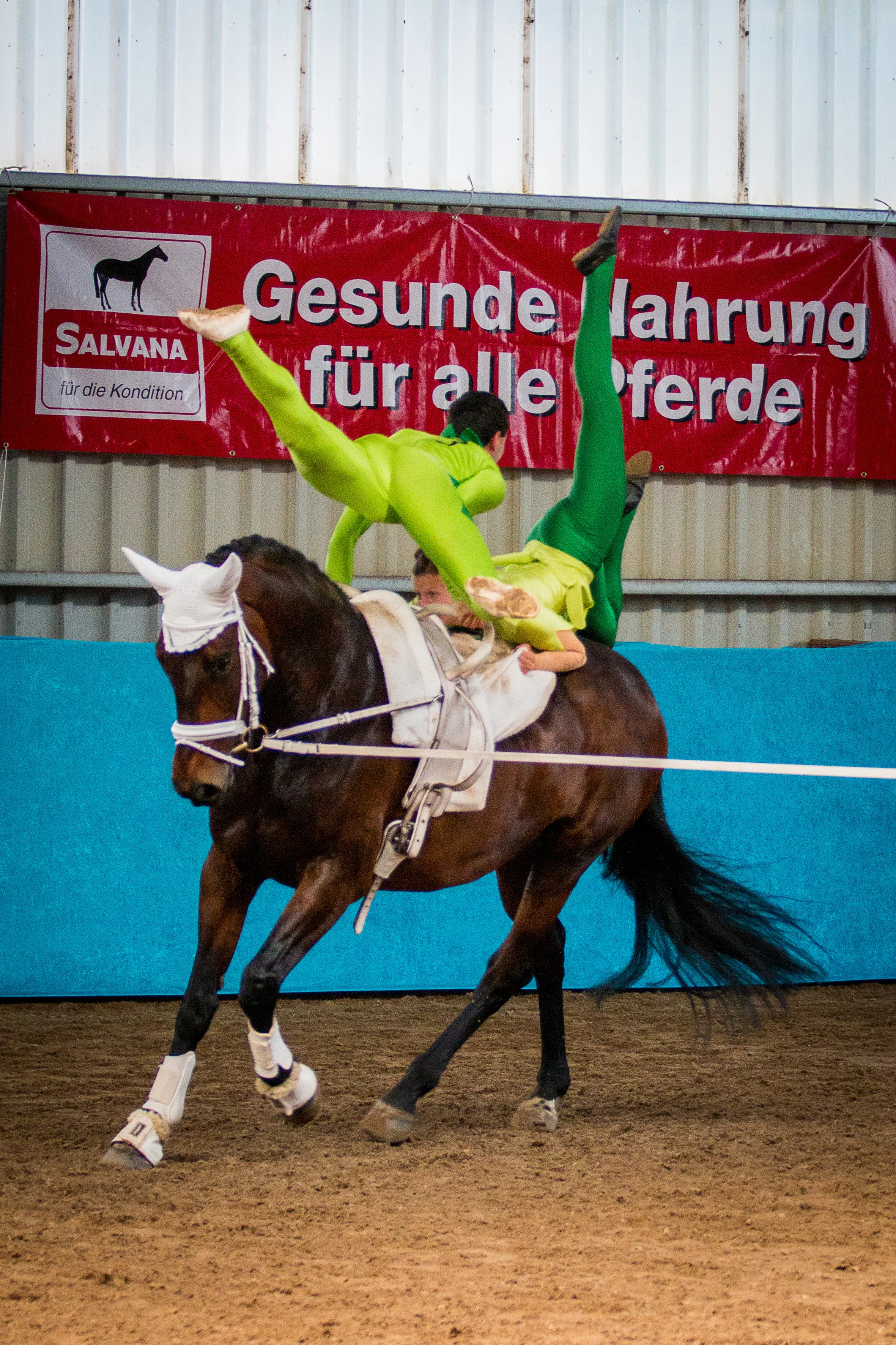 Turnier Güstrow-4.jpg
