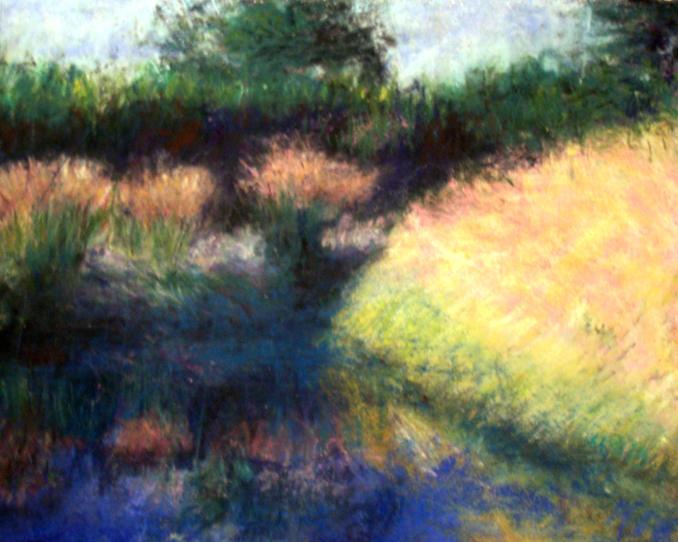Garden Pond Pastel on Paper 8x11"
