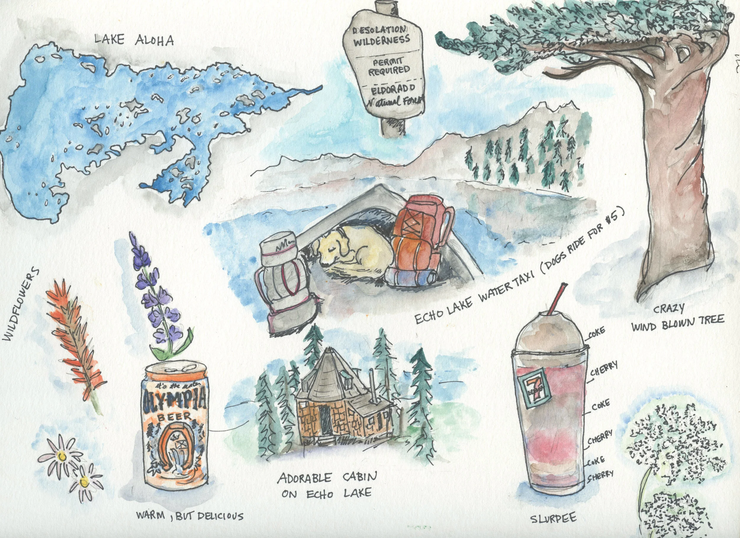 Lake Aloha Backpacking