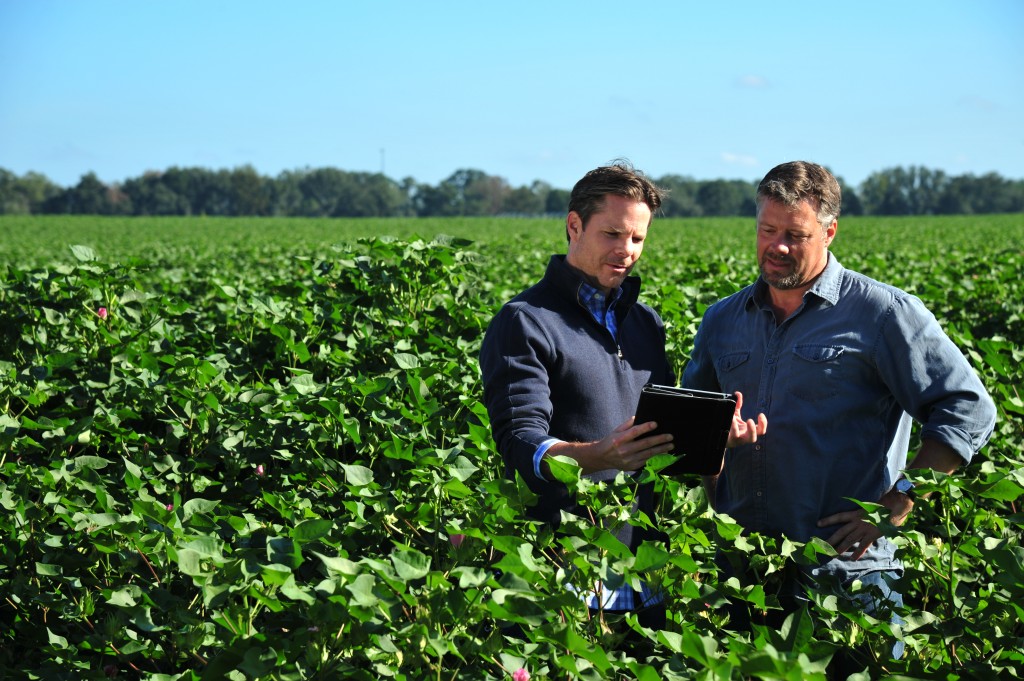 Farm Software From Planting to Harvest to Sale.jpg