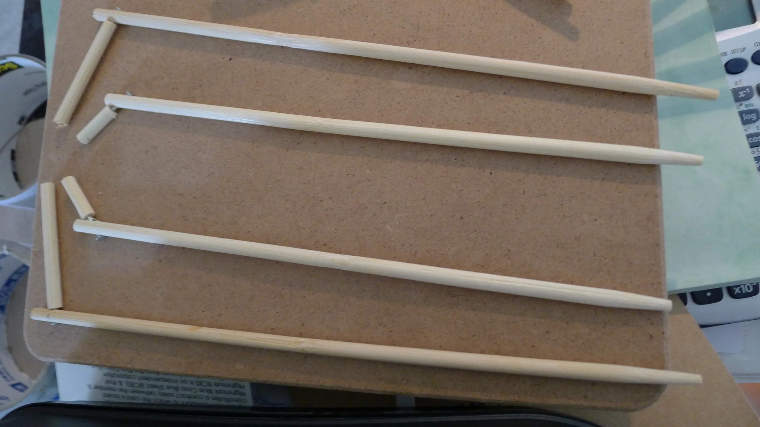 P1130341.JPG