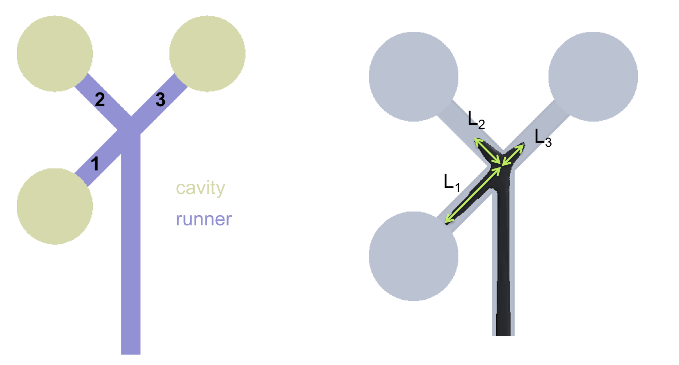 coinjection_model.png