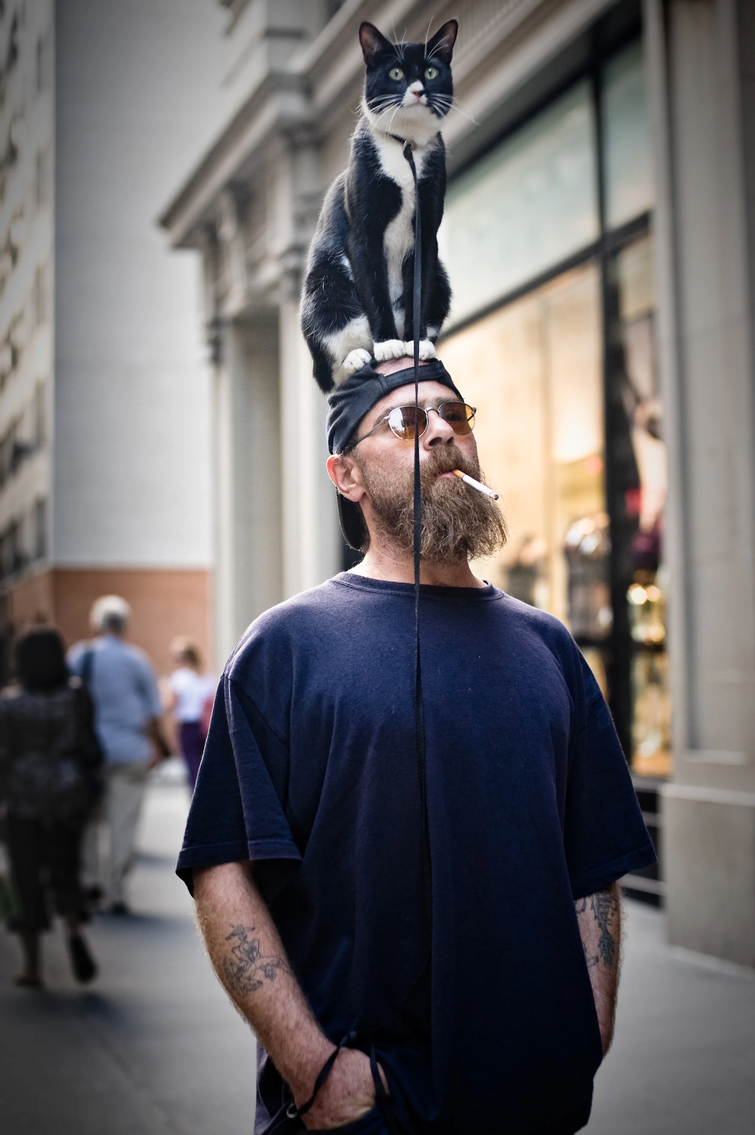Cat Hat