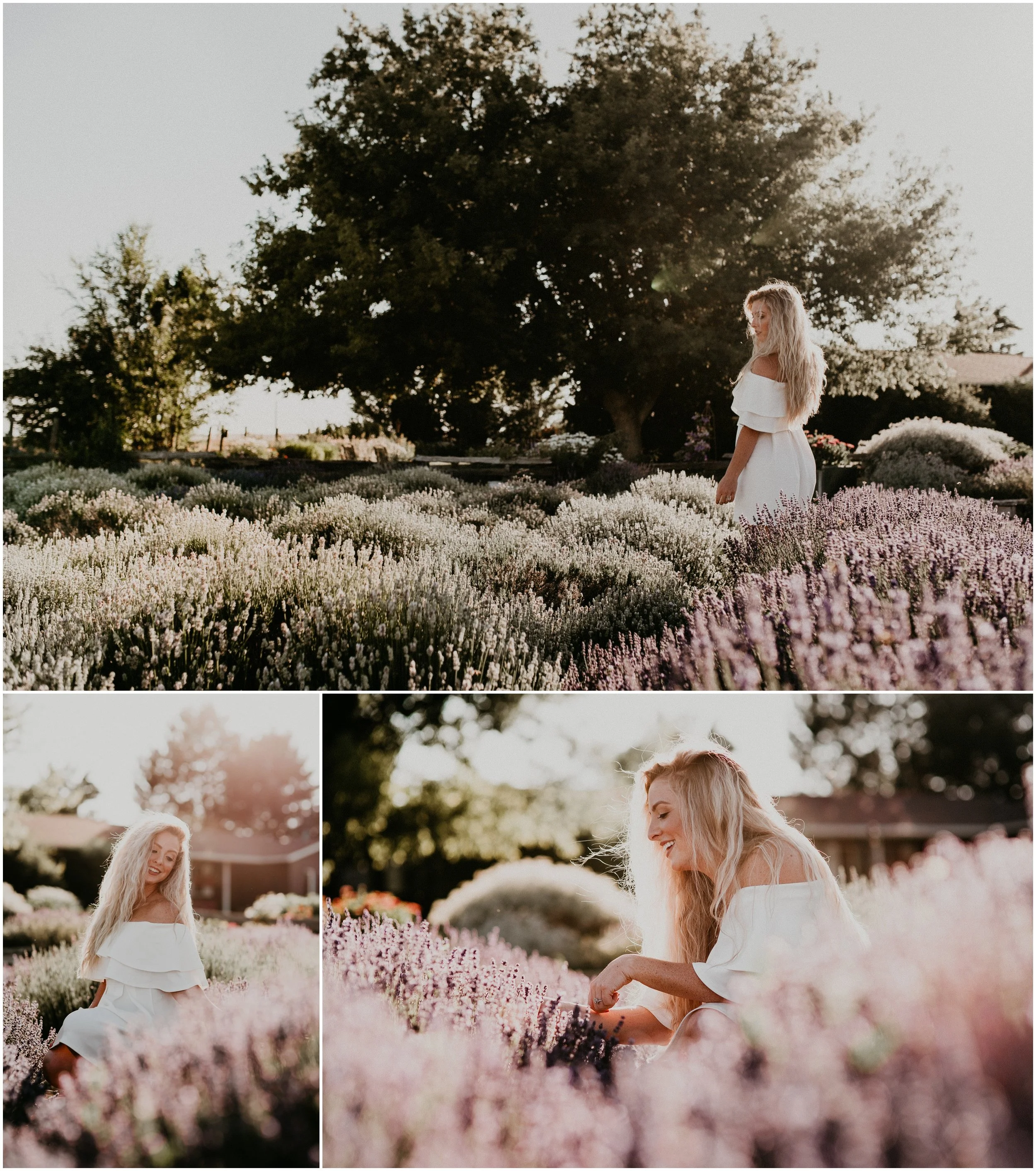 Makayla Madden Photography Boise Idaho Senior Boudoir Wedding Photographer Kuna Idaho Lavender Field Merchant Portrait Session Dreamy Golden Hour