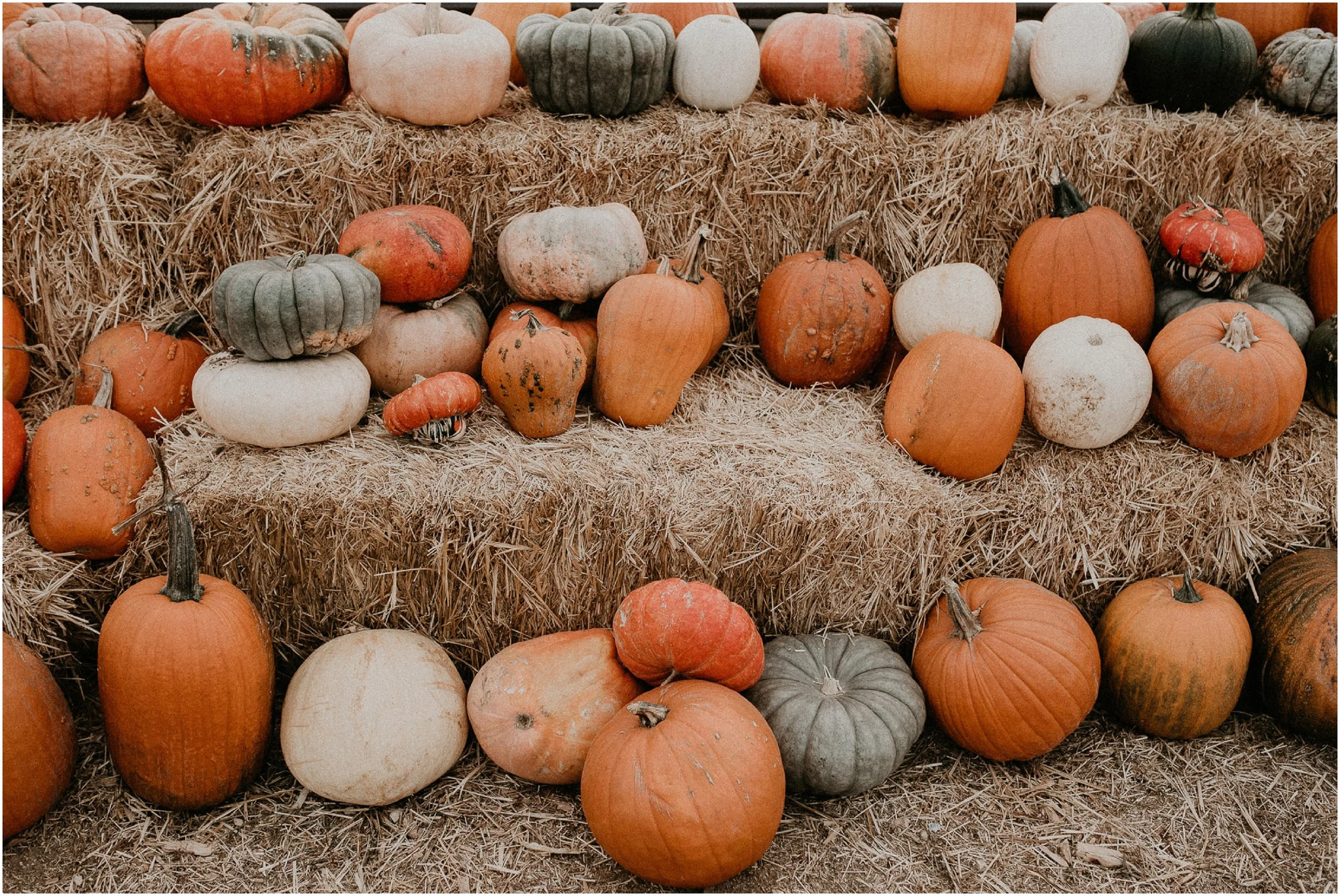 Boise Senior Boudoir Photographer Makayla Madden Photography Idaho Farmstead Corn Maze Fall Ideas Inspiration Corn Maze Meridian Pumpkin Patch Hay Bales Fall Aesthetic