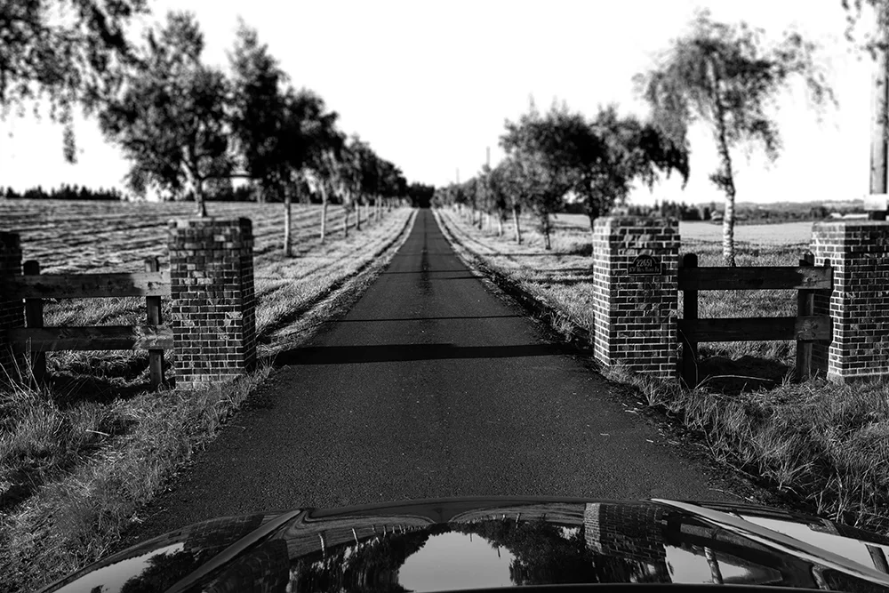 A row of trees is reflected in the hood of a car as it enters the road home. Photo by Rebecca Akporiaye