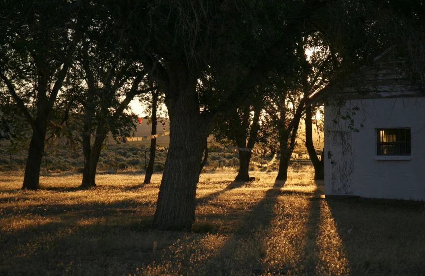 Prayer flags in the first light of day; Andrews School, Andrews, Oregon. Photo by John Simpkins