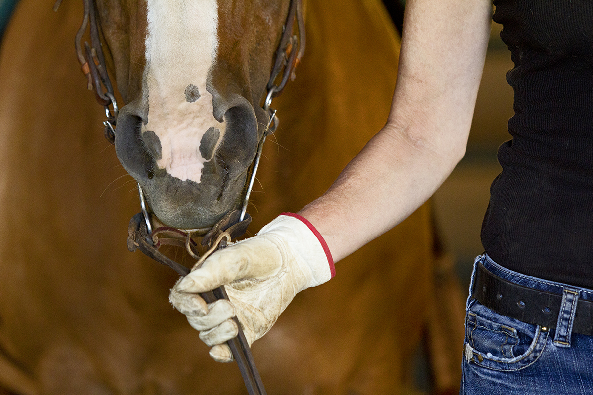 Michele and her horse, Fancy. Photo by Paloma Ayala