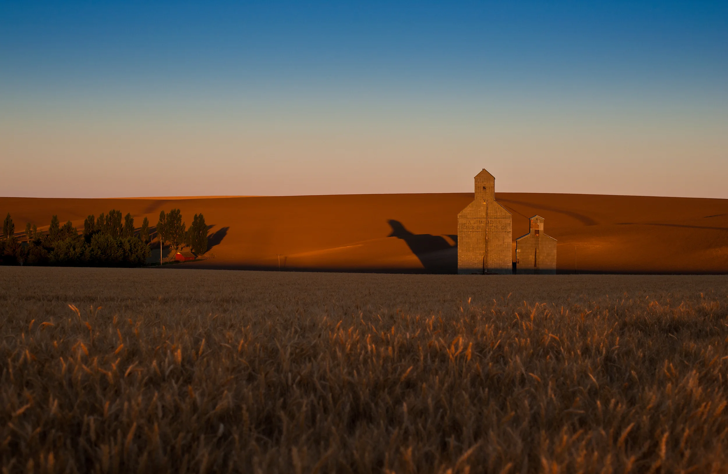 The A.H. McIntyre grain elevator north of Athena, Oregon photographed at sunrise Monday July 15, 2013. © 2013 Fred Joe / www.fredjoephoto.com