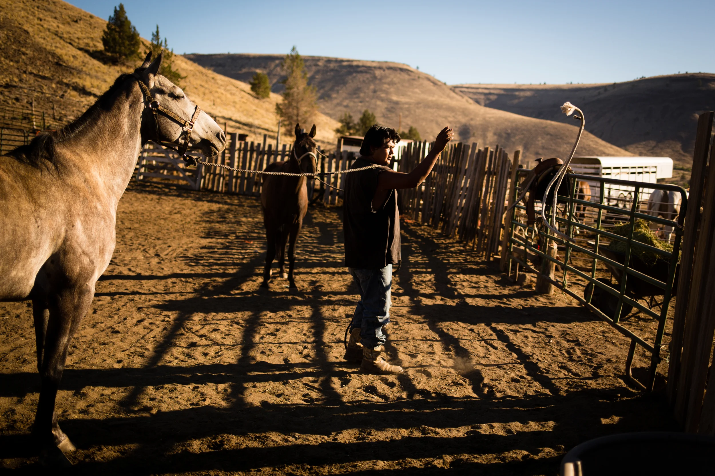 On Monday, July 15, 2013 Leslie Rae Robinson tends horses on his grand aunt's property in Warm Springs, OR.
