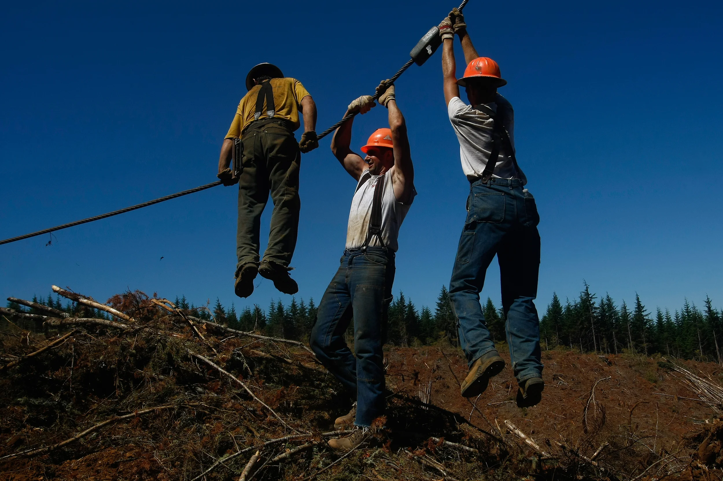 Loggers, from left, Jon Cunningham of Drain, Seth Williamson of Elkton and Justin Helgren of Elkton work at a logging site outside Sutherlin July 15.