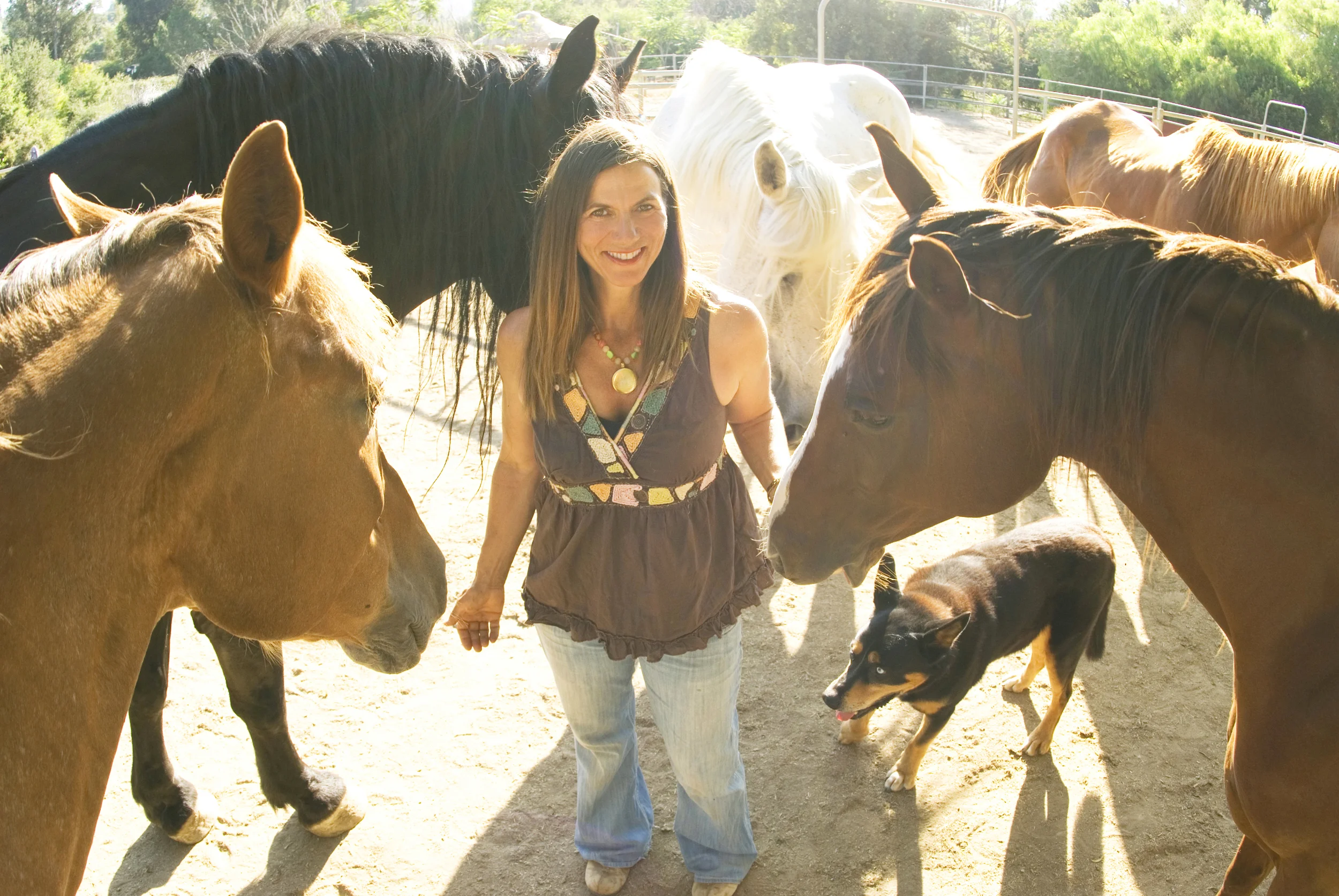 sara and horses forbook.jpg