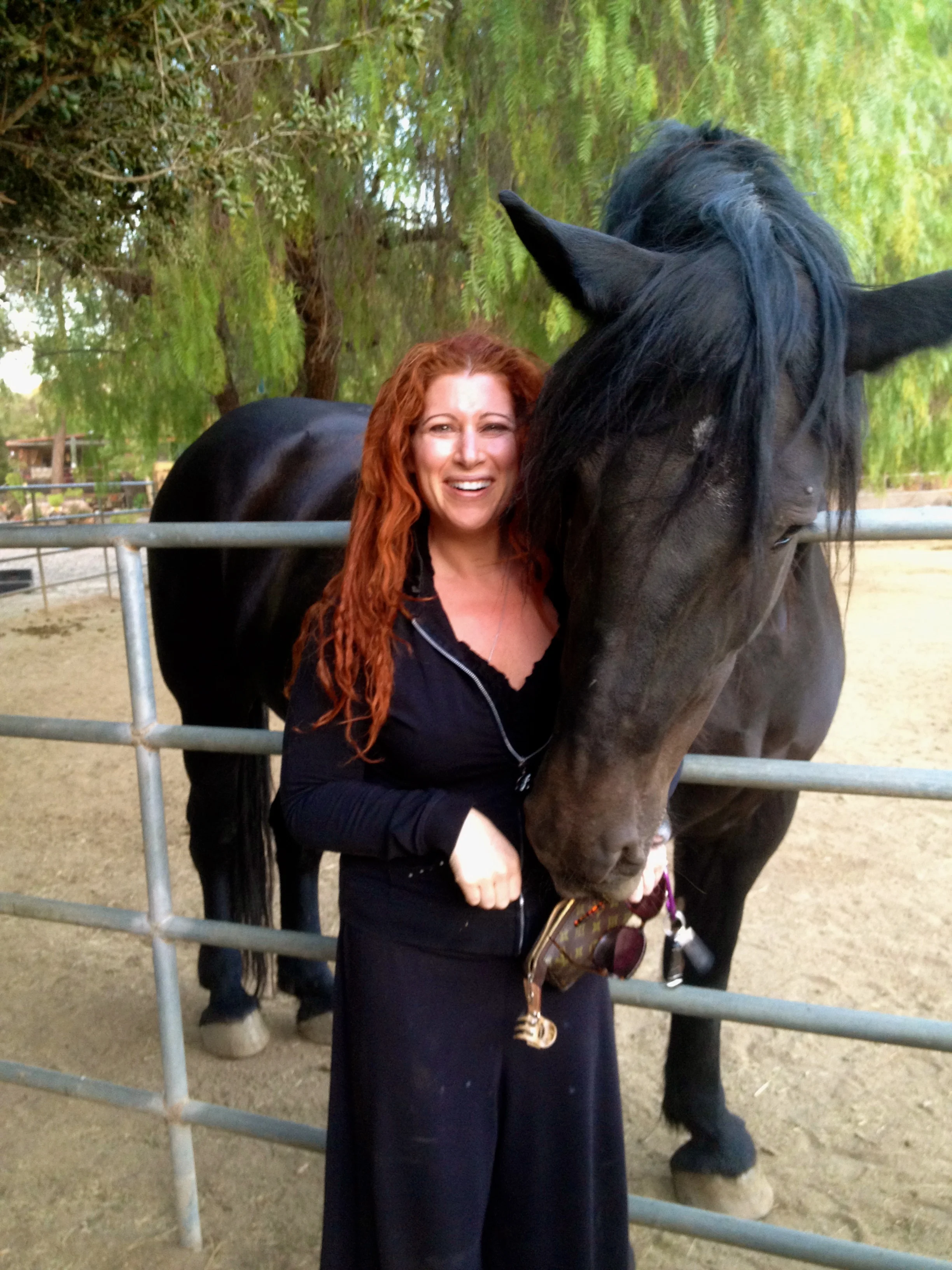 Diva made a new friend on Sunday at our Horse Constellation event