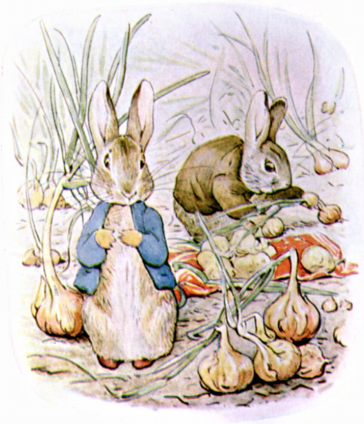Peter Rabbit