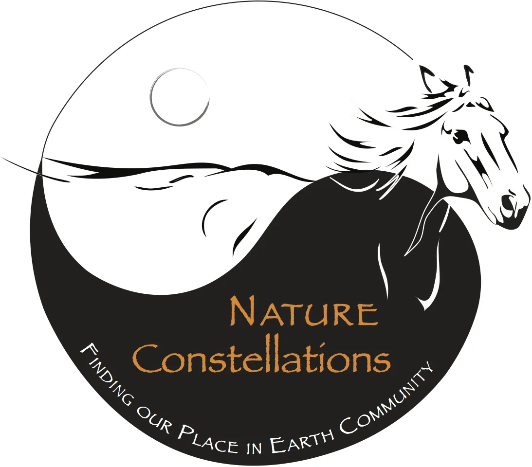 Nature Constellation 2015
