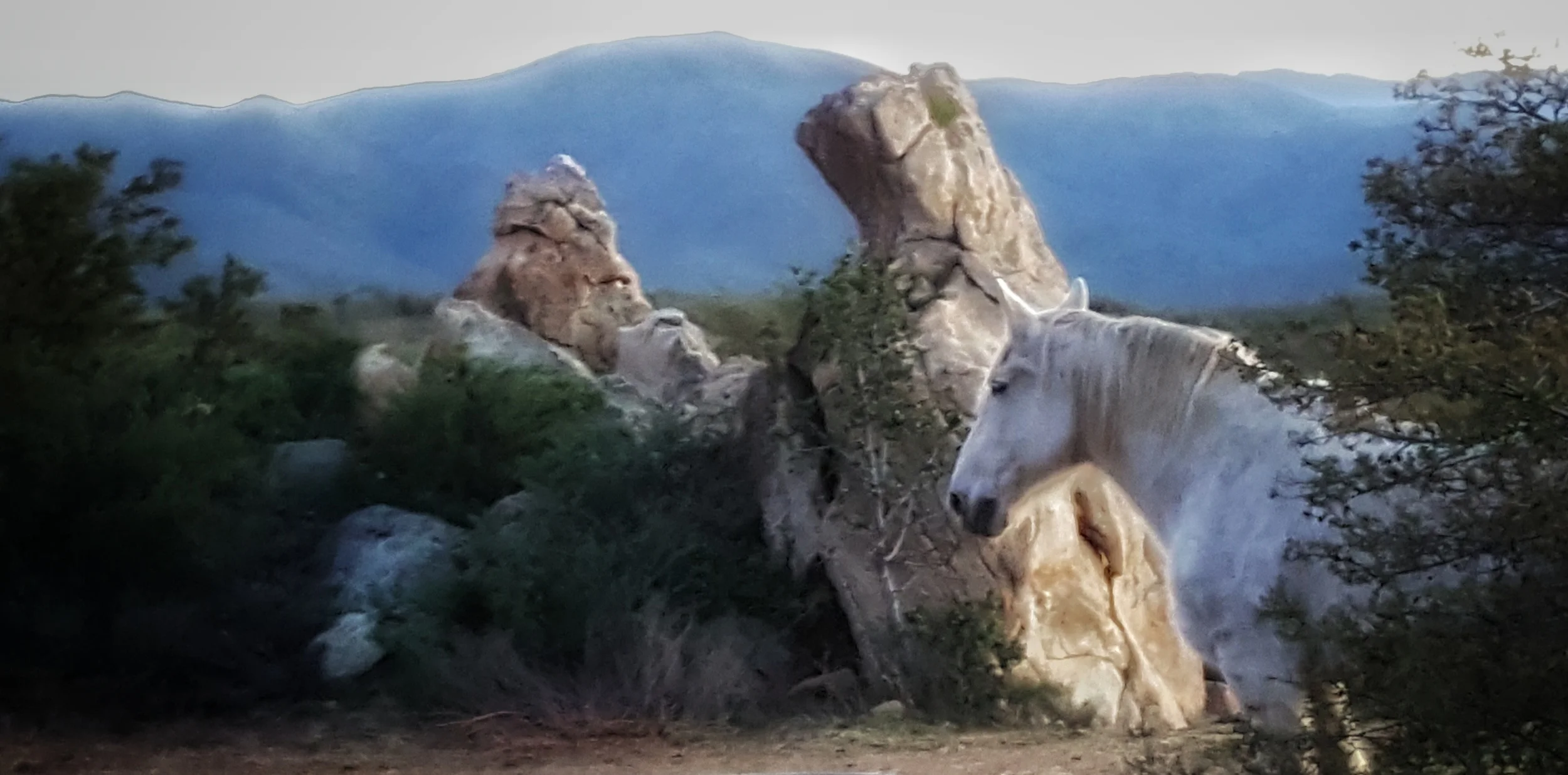 3-Day Shamanic Horse Healing Intensive