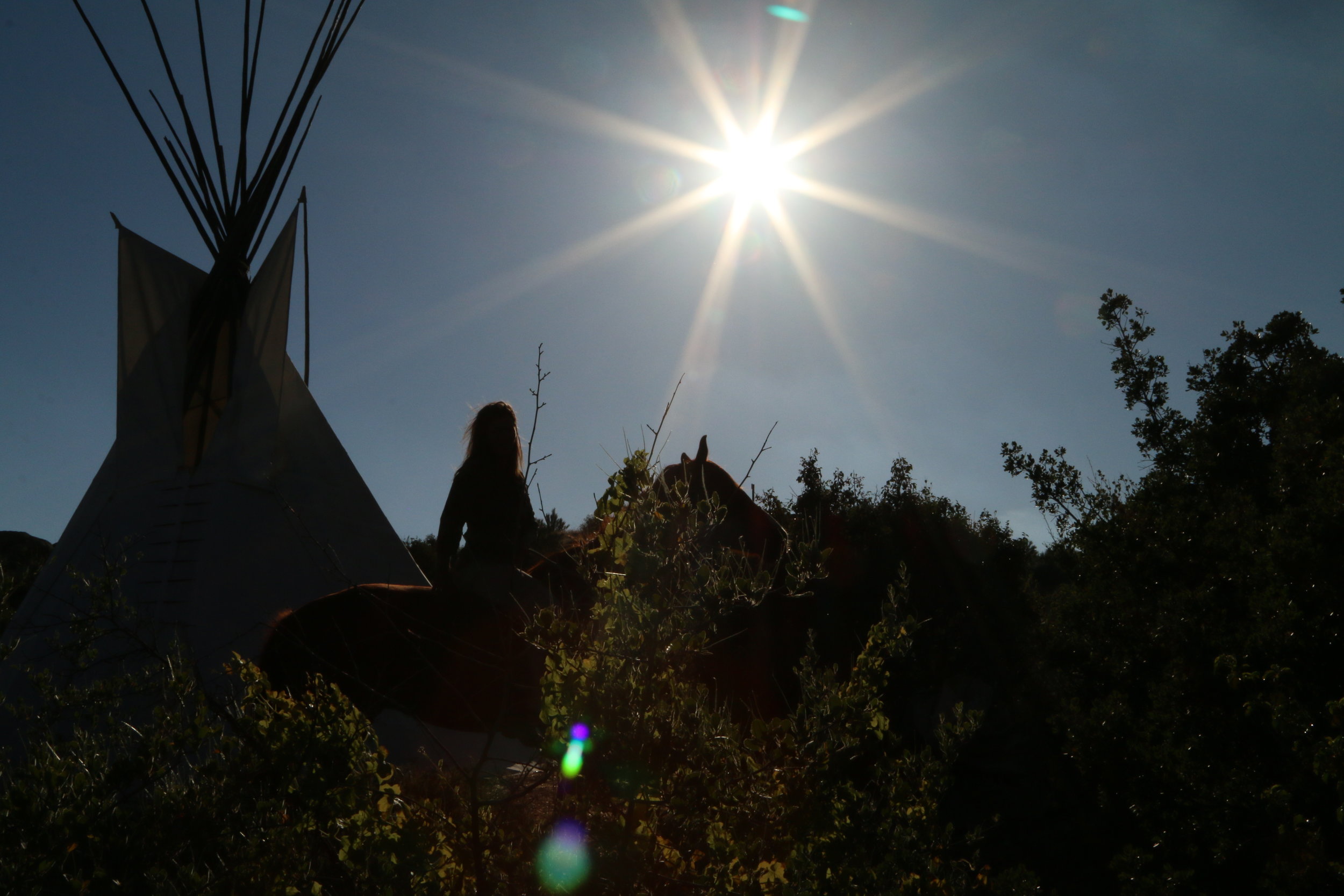 Reiki - horses - healing - retreat 