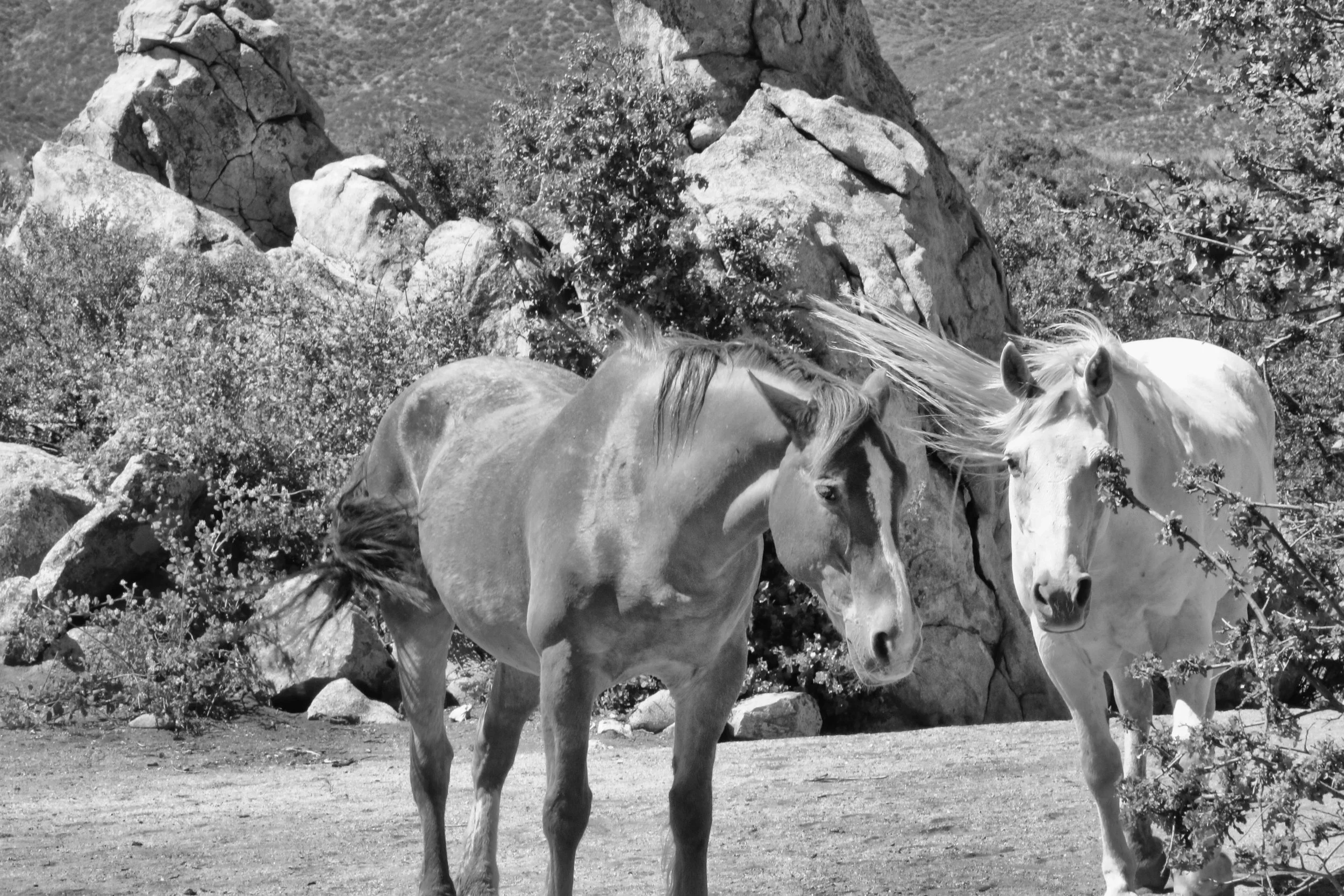 August special - 4 days 4 nights 4 sessions