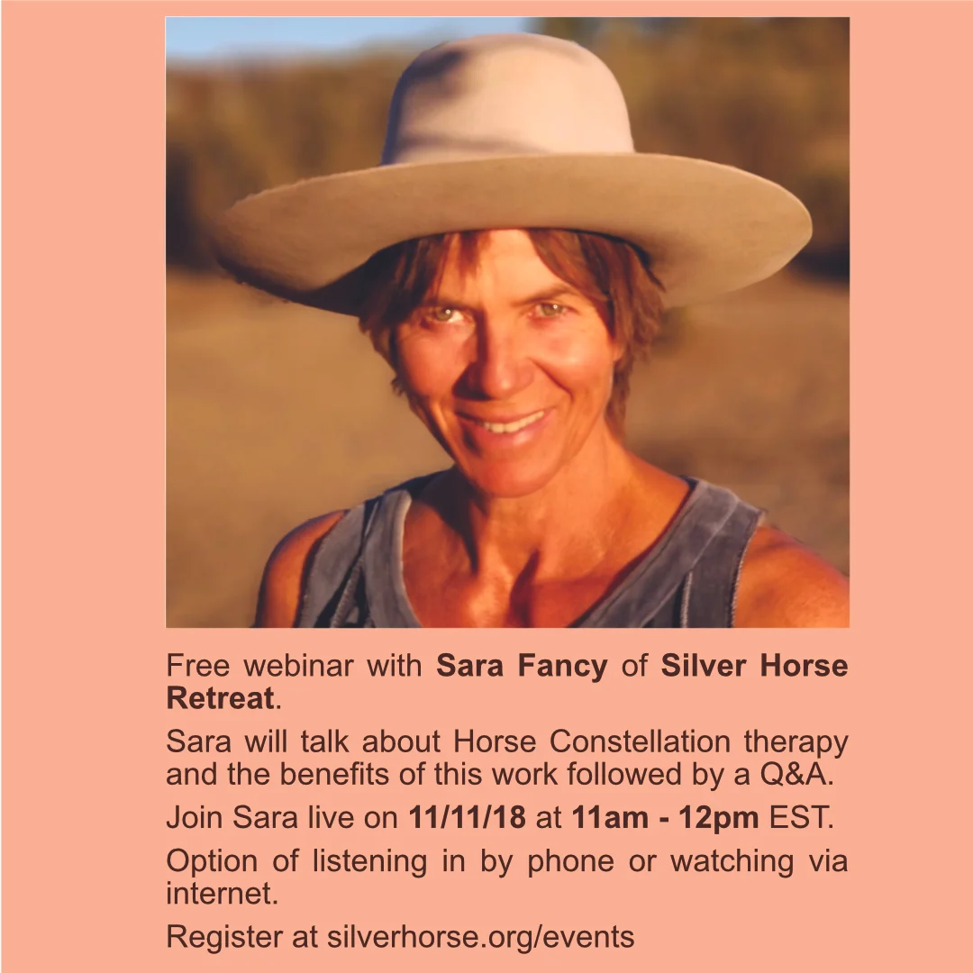 What is a horse constellation? Free live webinar with Sara Fancy