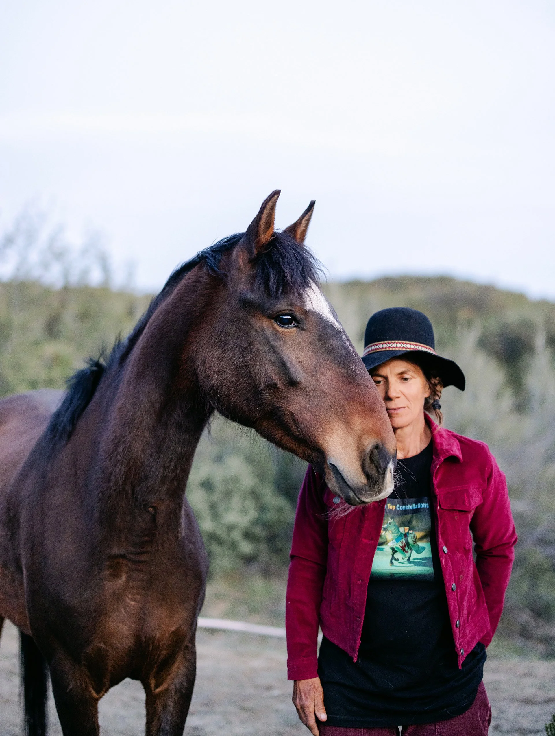 5-Day Horse Constellation Training for Beginners