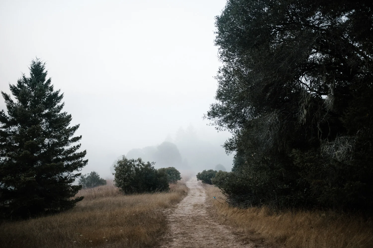 Outpost_008.jpg