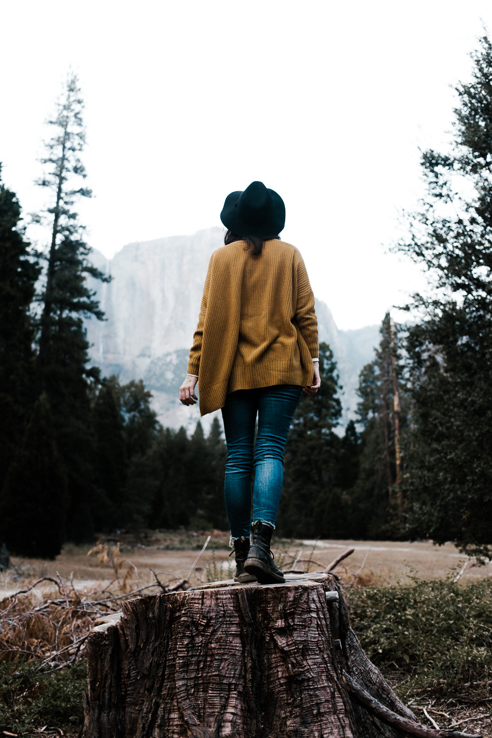 Yosemite_018.jpg