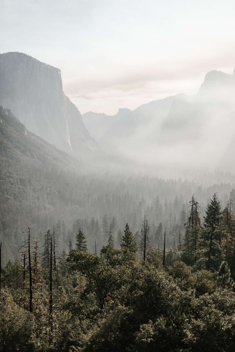 Yosemite_032.jpg