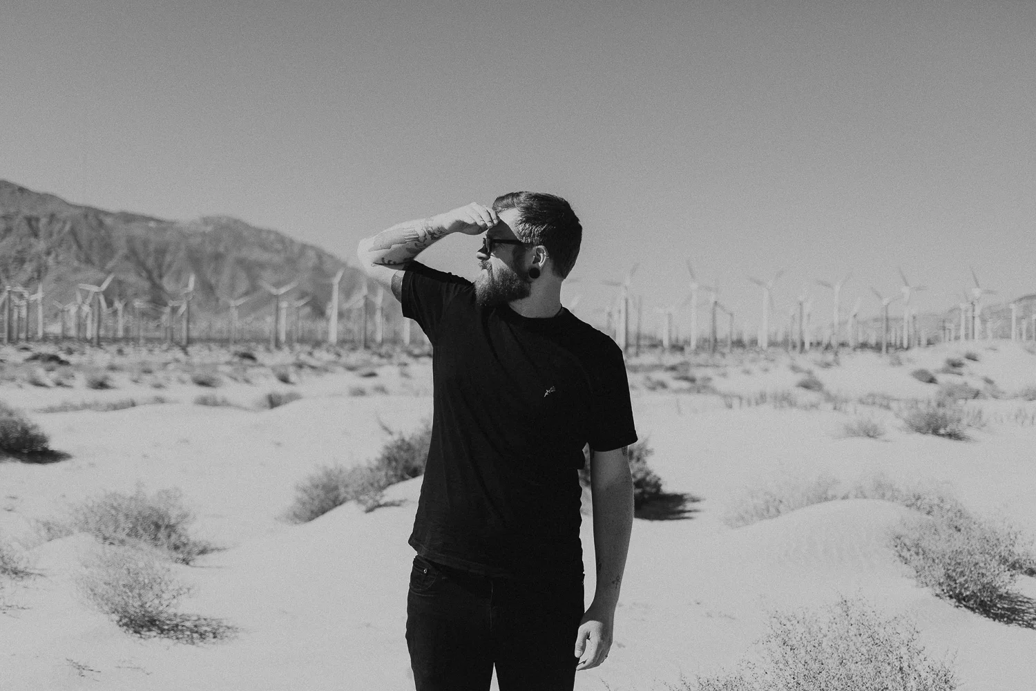 Amongst The Joshuas | Travel Journal