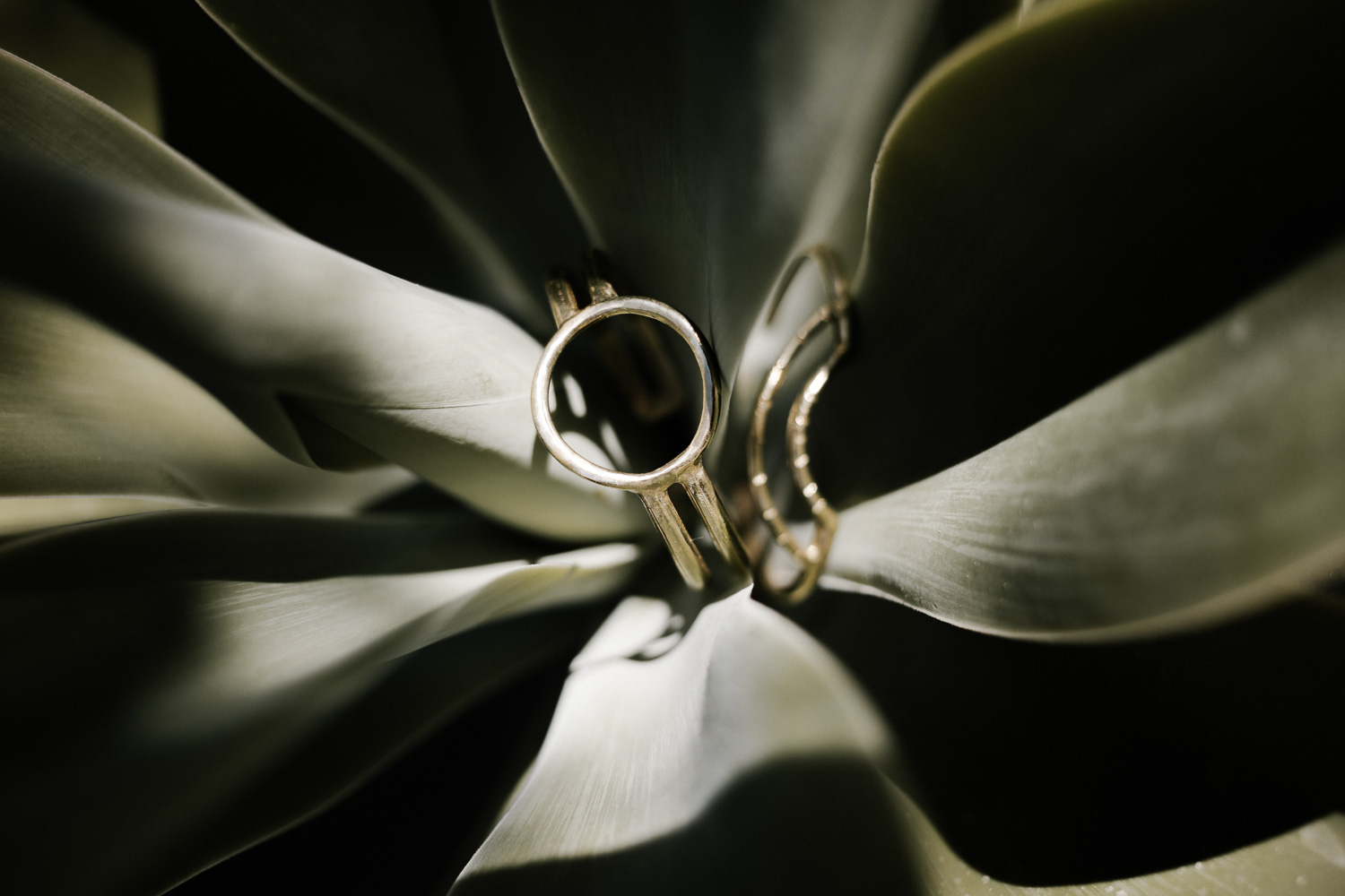 Escarcha_Wedding_Selects_003.jpg